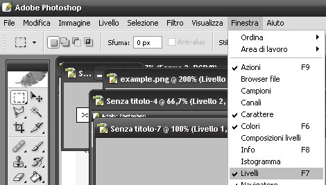 Finestra livelli.jpg