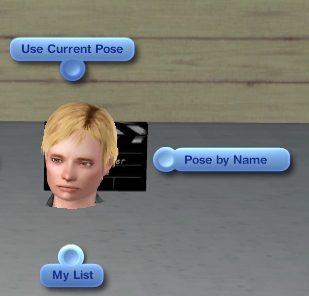 Ts3 PosePlayer options.jpg