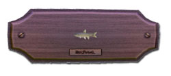 Fish ciprinide.jpg